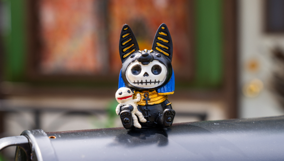 furry bones