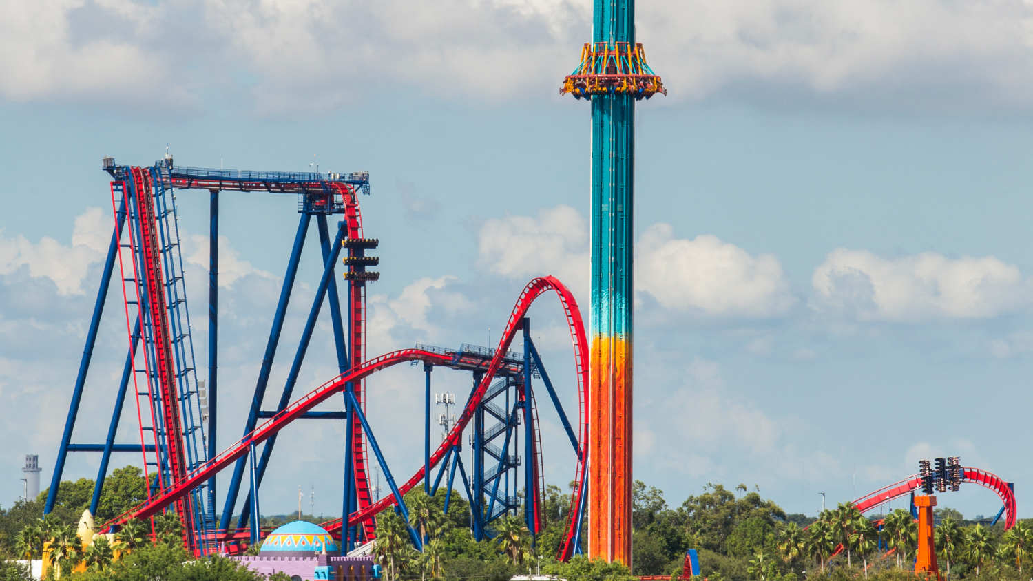 SheiKra and Falcon's Fury