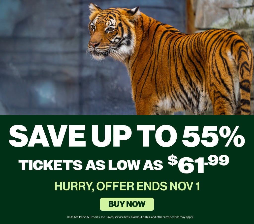 Save up to 55% | Tickets as low as $61.99