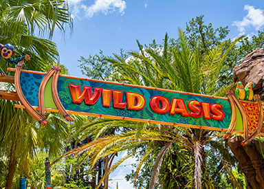 wild oasis.