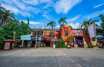 cheetah hunt