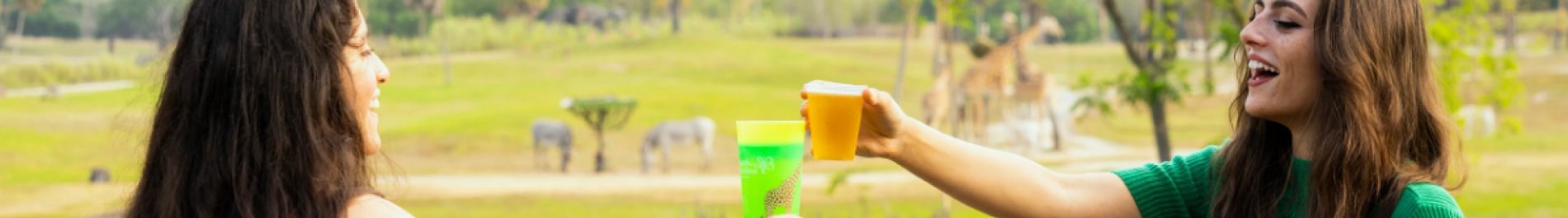 Giraffe Bar