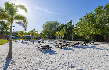 Chickee Beach Picnic Space