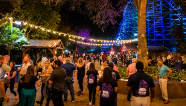 Festival Walkway rental area at Busch Gardens Tampa Bay.