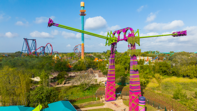 Serengeti Flyer at Busch Gardens
