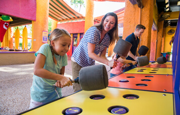 Experience Busch Gardens Tampa Bay