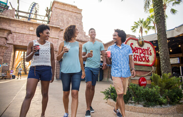 Experience Busch Gardens Tampa Bay