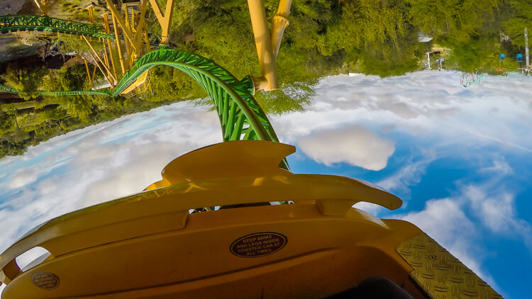 Ride Cheetah Hunt at Busch Gardens Tampa Bay