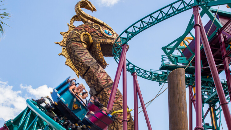 Ride Cobra's Curse at Busch Gardens Tampa Bay