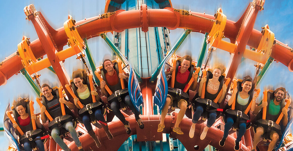 Ride the Falcon's Fury at Busch Gardens Tampa Bay