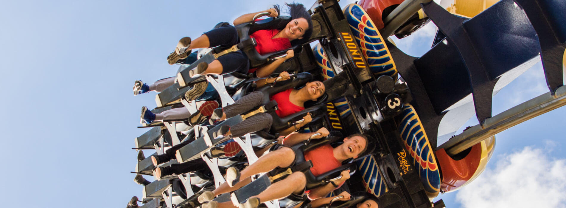Ride Montu at Busch Gardens Tampa Bay