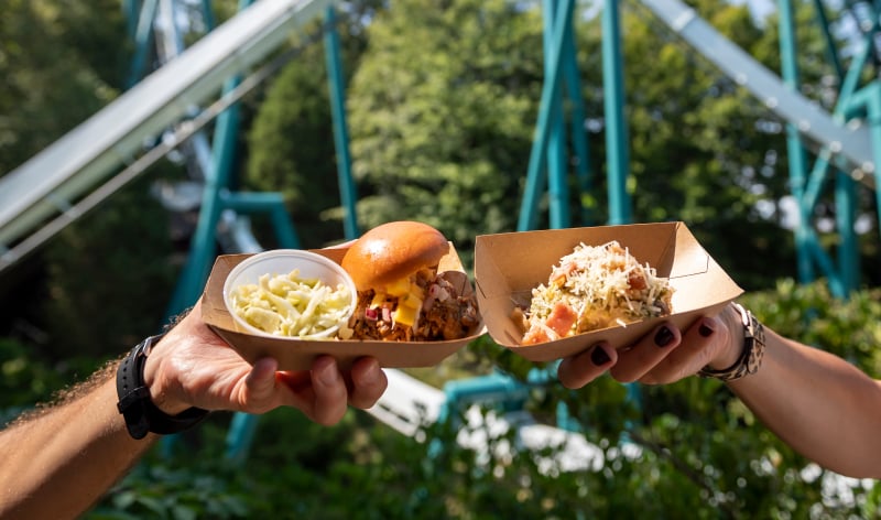 Sliders at Busch Gardens Williamsburg