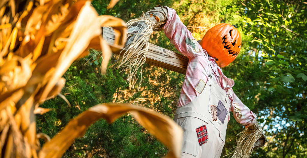 Scarecrow at Busch Gardens Howl-O-Scream
