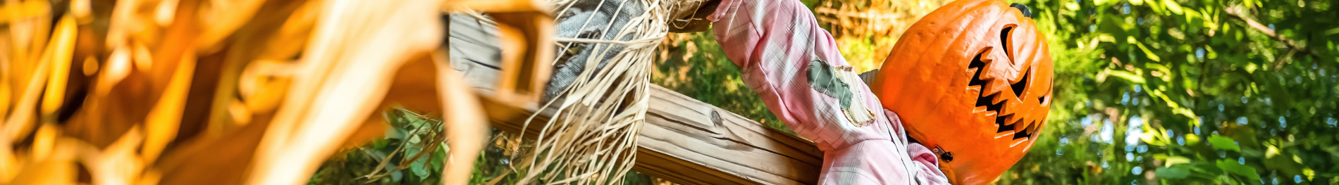 Scarecrow at Busch Gardens Howl-O-Scream