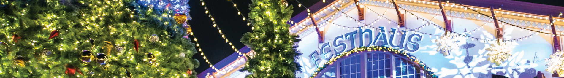 Celebration of Lights at O’Tannenbaum at Busch Gardens Williamsburg