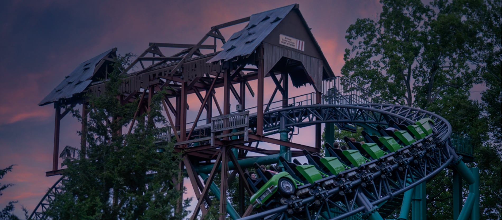 Roller Coaster