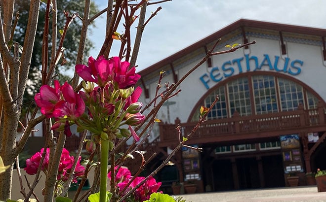 Flowers outside of Das Festhaus at Busch Gardens Williamsburg
