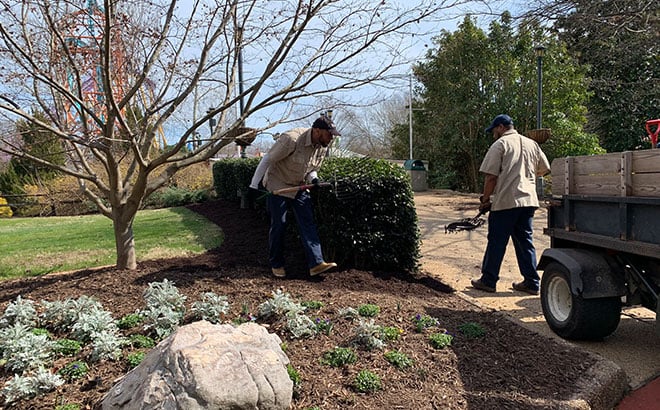 Landscape Team Members spreading mulch in Italy at Busch Gardens Williamsburg