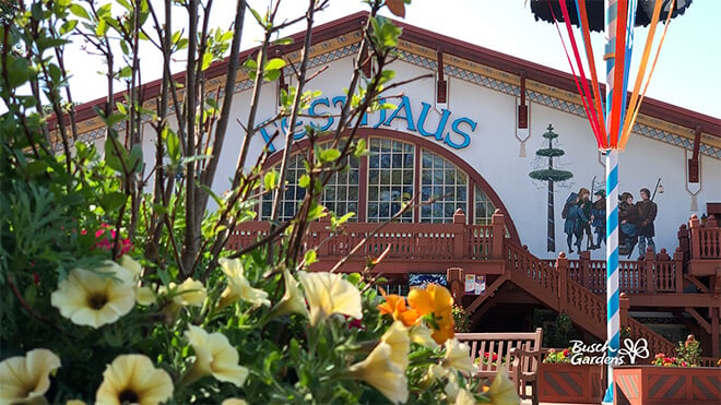 Das Festhaus Virtual Conferencing Background Preview