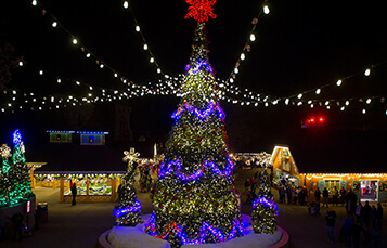 O' Tannenbaum 2
