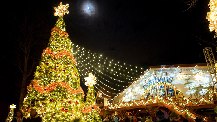 O' Tannenbaum 6