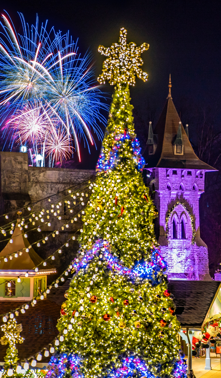 New Years Eve Fireworks at Busch Gardens Williamsburg.