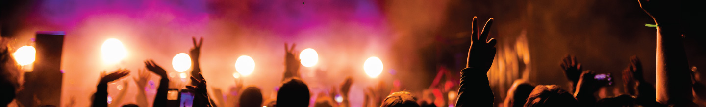 People enjoying a concert