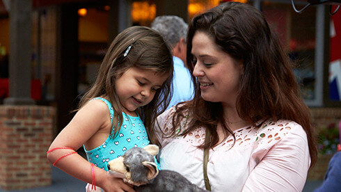 Read tips for traveling with kids, written by parents for parents