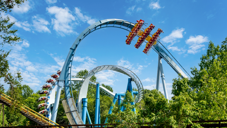 Griffon at Busch Gardens.