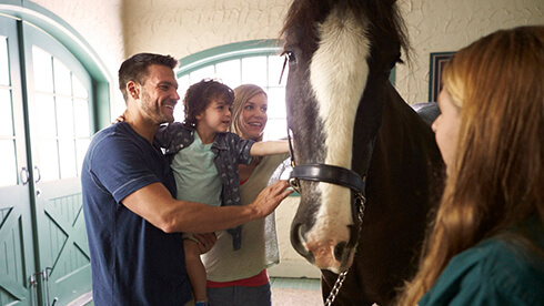 Discounted admission  to theme park and water park for Military Veterans